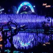 ヒメ日記 2025/02/08 21:38 投稿 さよ 長野権堂更埴ちゃんこ