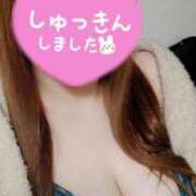 ヒメ日記 2025/04/11 18:19 投稿 さよ 長野権堂更埴ちゃんこ