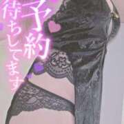 ヒメ日記 2025/11/28 09:26 投稿 さよ 長野権堂更埴ちゃんこ