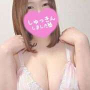 ヒメ日記 2026/02/06 15:06 投稿 さよ 長野権堂更埴ちゃんこ