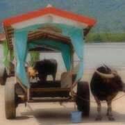 ヒメ日記 2025/05/01 09:30 投稿 サラ オトナのマル秘最前線!!