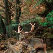 サラ おはようございます✨ オトナのマル秘最前線!!