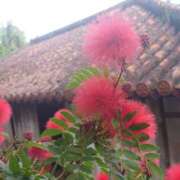 サラ こんにちは🍓 オトナのマル秘最前線!!