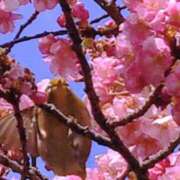 サラ おはようございます🌸 オトナのマル秘最前線!!