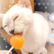 ヒメ日記 2026/05/01 10:53 投稿 サラ オトナのマル秘最前線!!
