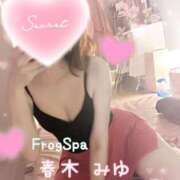 ヒメ日記 2023/12/07 12:24 投稿 春木みゆ FROG SPA(フロッグスパ)