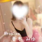 ヒメ日記 2024/02/12 09:18 投稿 春木みゆ FROG SPA(フロッグスパ)