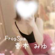 ヒメ日記 2024/04/13 10:50 投稿 春木みゆ FROG SPA(フロッグスパ)