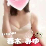 ヒメ日記 2026/04/17 16:17 投稿 春木みゆ FROG SPA(フロッグスパ)