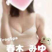 ヒメ日記 2026/05/14 16:40 投稿 春木みゆ FROG SPA(フロッグスパ)