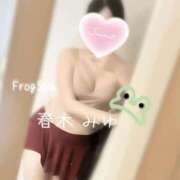 ヒメ日記 2026/08/08 14:17 投稿 春木みゆ FROG SPA(フロッグスパ)