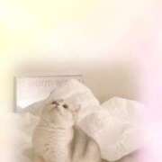 ヒメ日記 2025/07/15 19:08 投稿 ゆうな 小田原人妻城