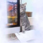 ヒメ日記 2025/07/29 13:42 投稿 ゆうな 小田原人妻城