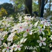 ヒメ日記 2023/09/26 10:13 投稿 わか 大塚 虹いろ回春