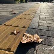 ヒメ日記 2024/12/14 16:12 投稿 わか 大塚 虹いろ回春