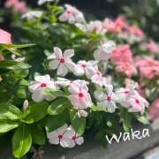 わか わかです。 大塚 虹いろ回春