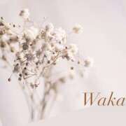 ヒメ日記 2026/01/04 10:45 投稿 わか 大塚 虹いろ回春