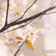 ヒメ日記 2026/02/03 10:47 投稿 わか 大塚 虹いろ回春