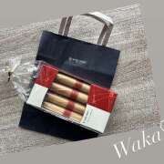 ヒメ日記 2026/02/09 10:35 投稿 わか 大塚 虹いろ回春