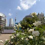 ヒメ日記 2026/08/25 10:37 投稿 わか 大塚 虹いろ回春