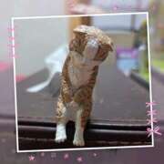 ヒメ日記 2026/01/11 11:39 投稿 瑠美◇るみ 人妻吐息