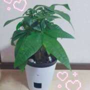 ヒメ日記 2026/02/05 17:24 投稿 瑠美◇るみ 人妻吐息