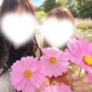 ヒメ日記 2026/10/06 17:46 投稿 瑠美◇るみ 人妻吐息