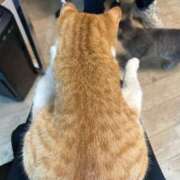 ヒメ日記 2025/10/06 12:03 投稿 麗華◇れいか 人妻吐息