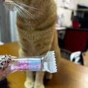 ヒメ日記 2025/11/18 10:31 投稿 麗華◇れいか 人妻吐息