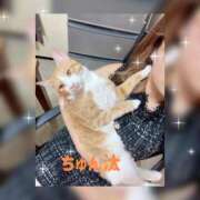 ヒメ日記 2025/11/18 12:21 投稿 麗華◇れいか 人妻吐息