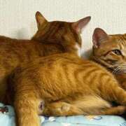 ヒメ日記 2025/11/21 11:02 投稿 麗華◇れいか 人妻吐息