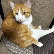 ヒメ日記 2025/11/25 10:41 投稿 麗華◇れいか 人妻吐息