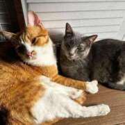 ヒメ日記 2025/11/26 14:22 投稿 麗華◇れいか 人妻吐息