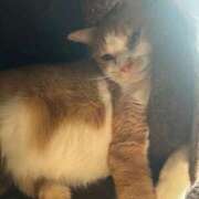 ヒメ日記 2025/11/27 10:36 投稿 麗華◇れいか 人妻吐息