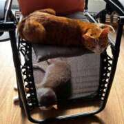 ヒメ日記 2025/12/01 10:41 投稿 麗華◇れいか 人妻吐息