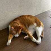 麗華◇れいか 今日の一枚 人妻吐息