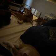 ヒメ日記 2026/01/05 20:01 投稿 麗華◇れいか 人妻吐息