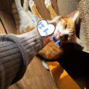 ヒメ日記 2026/01/07 10:41 投稿 麗華◇れいか 人妻吐息