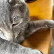 ヒメ日記 2026/01/15 13:41 投稿 麗華◇れいか 人妻吐息