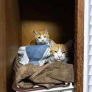 ヒメ日記 2026/01/16 14:01 投稿 麗華◇れいか 人妻吐息