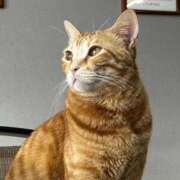 ヒメ日記 2026/01/17 10:35 投稿 麗華◇れいか 人妻吐息