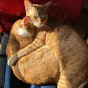 ヒメ日記 2026/01/22 13:31 投稿 麗華◇れいか 人妻吐息