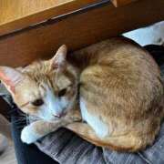 ヒメ日記 2026/01/23 12:24 投稿 麗華◇れいか 人妻吐息