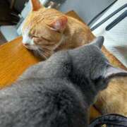 ヒメ日記 2026/01/24 11:41 投稿 麗華◇れいか 人妻吐息