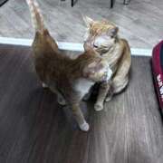 ヒメ日記 2026/01/31 20:02 投稿 麗華◇れいか 人妻吐息