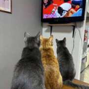 ヒメ日記 2026/02/07 14:27 投稿 麗華◇れいか 人妻吐息