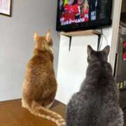 ヒメ日記 2026/02/19 10:44 投稿 麗華◇れいか 人妻吐息