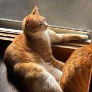 ヒメ日記 2026/02/21 10:54 投稿 麗華◇れいか 人妻吐息