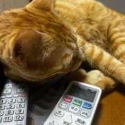 ヒメ日記 2026/02/27 13:56 投稿 麗華◇れいか 人妻吐息