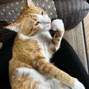 ヒメ日記 2026/03/10 12:26 投稿 麗華◇れいか 人妻吐息